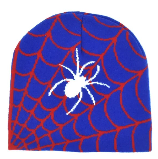 Spider Beanie