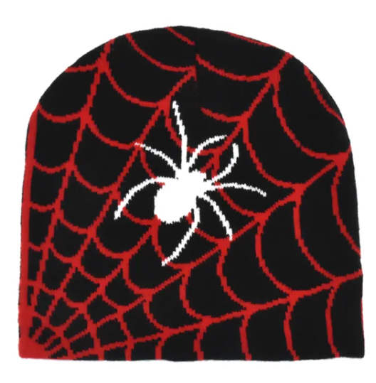 Spider Beanie